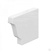 Заглушка желоба 120х86 левая белая (ПЛ-02-9010-0.5)